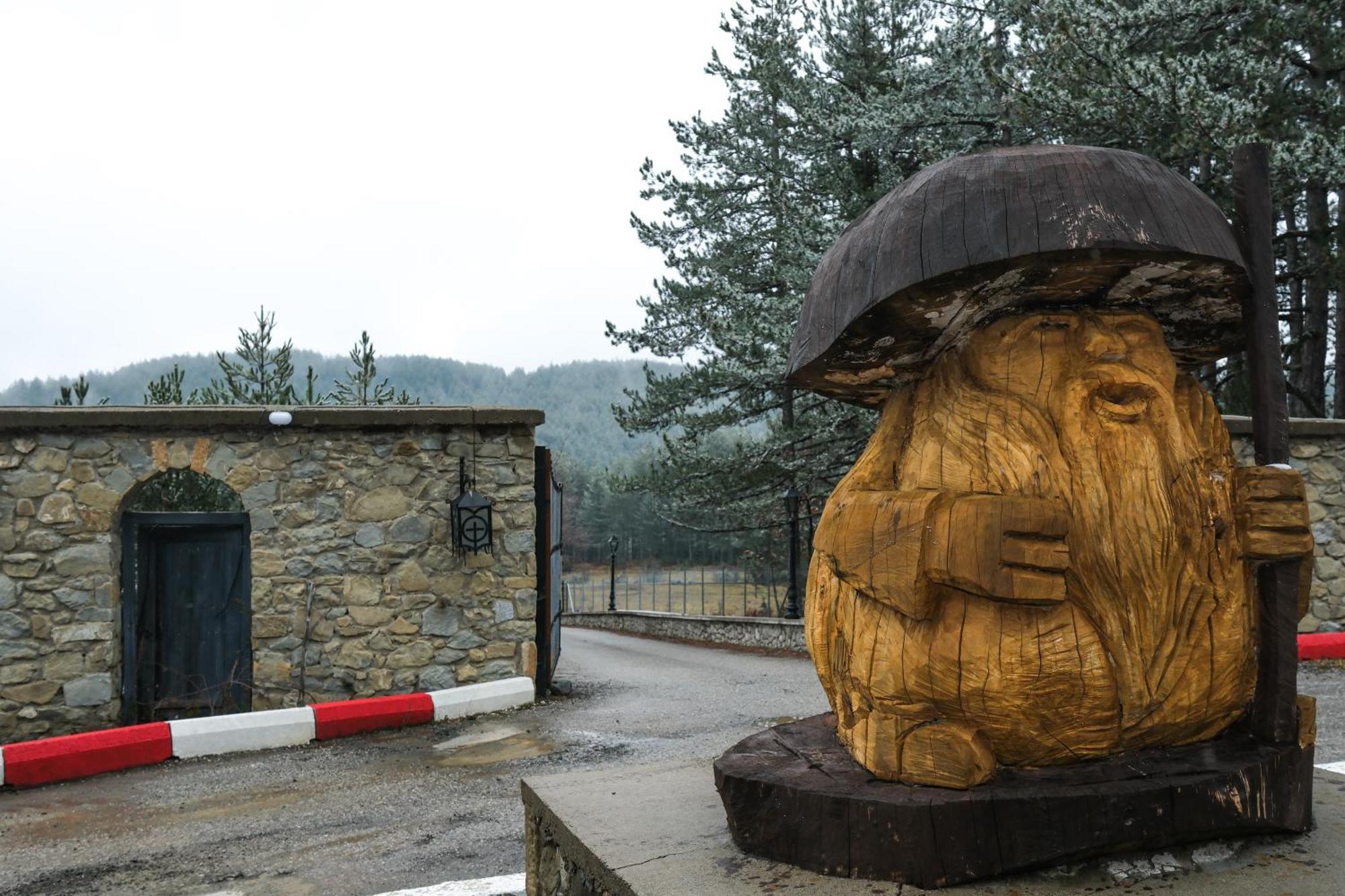 Pindos Resort Krania ภายนอก รูปภาพ